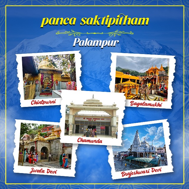 Divine Ultra Luxury 4 Nights & 5 Days (Palampur)